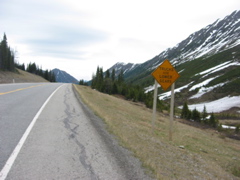 IMG_1008.JPG